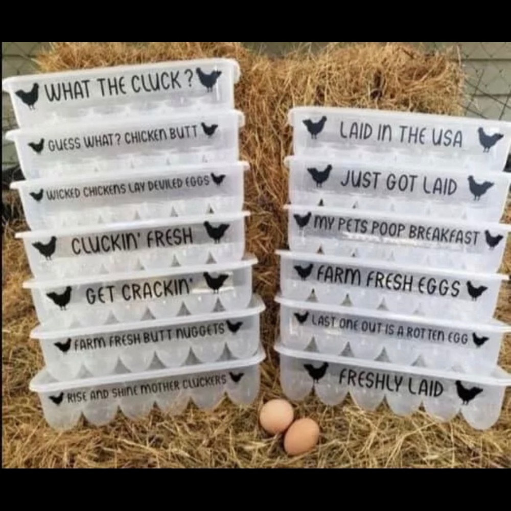 plastic egg holder with funny decal!